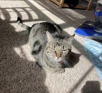 Meep - Photo 11