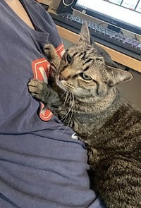 Meep - Photo 8