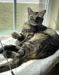 Meep - Photo 9