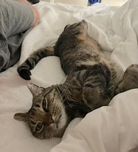 Meep - Photo 10