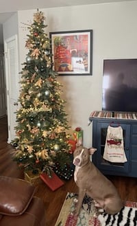 Percy J - Photo 5