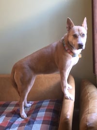 Stella - Photo 3