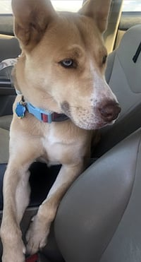 Stella - Photo 4