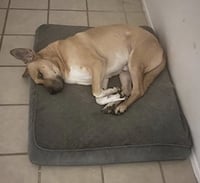 Chulo - Photo 6