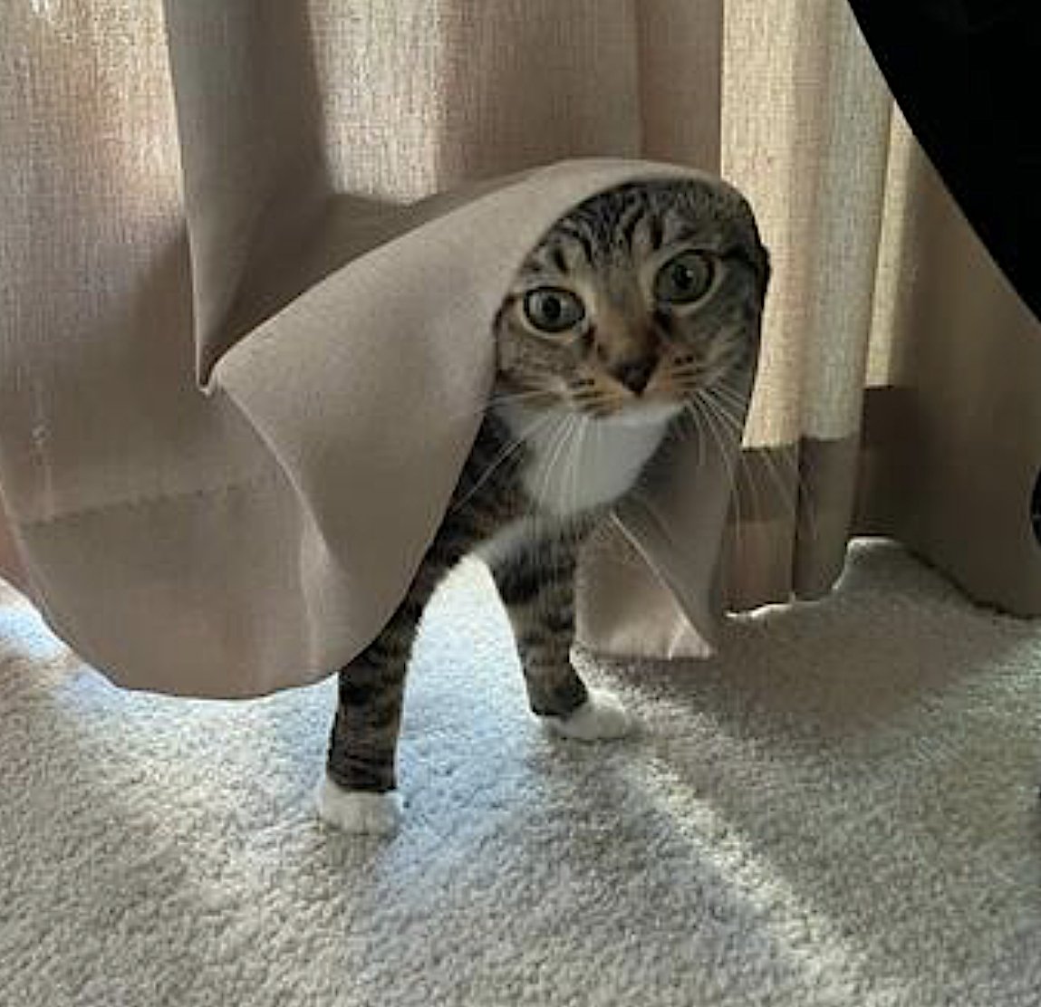 Heidi and Ivy - Photo 3