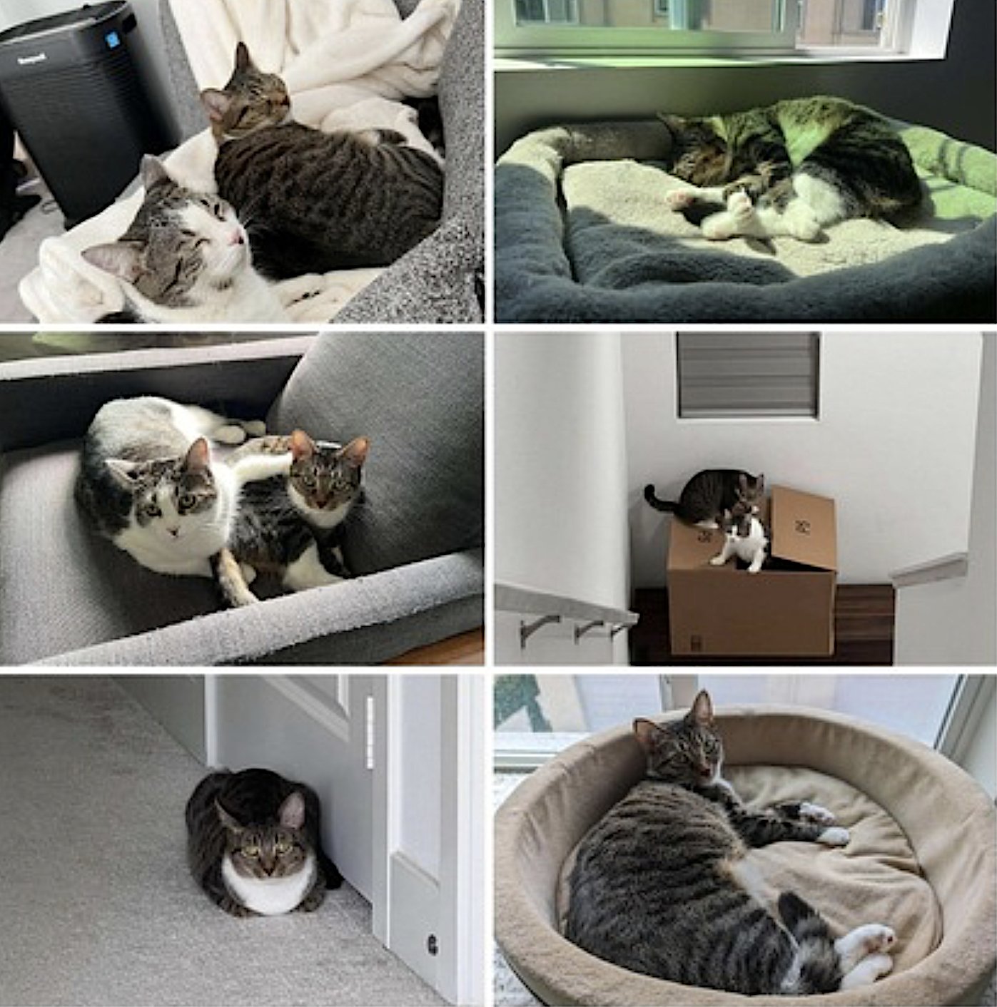 Heidi and Ivy - Photo 4