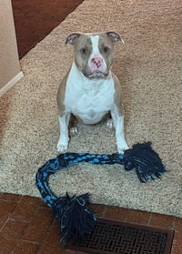 Maximus - Photo 5
