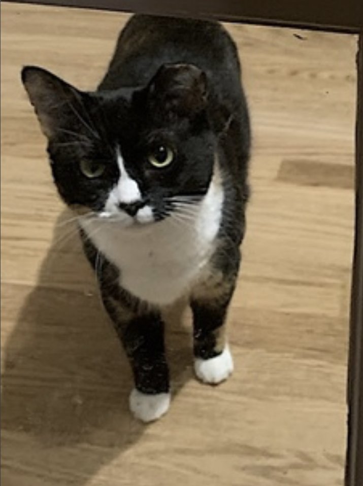 Momma Bear and Baby Bear - Photo 5