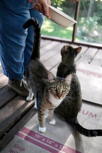Chalky and Rusti - Photo 4