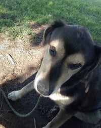 Chance - Photo 8