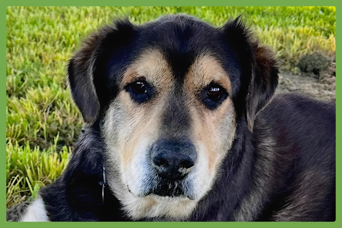 Chance Image