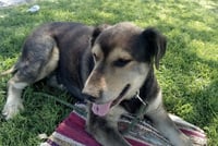 Chance - Photo 7