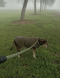 Chance - Photo 6