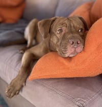 Hiccup - Photo 9
