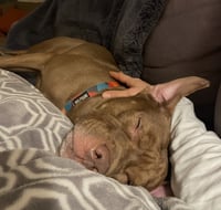 Hiccup - Photo 3