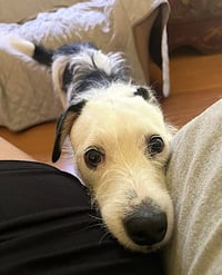 Danny - Photo 3