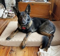 Annie - Photo 2
