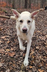 Ernest - Photo 5