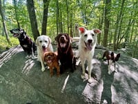 Ernest - Photo 8