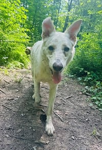 Ernest - Photo 9