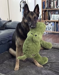 Luna - Photo 3