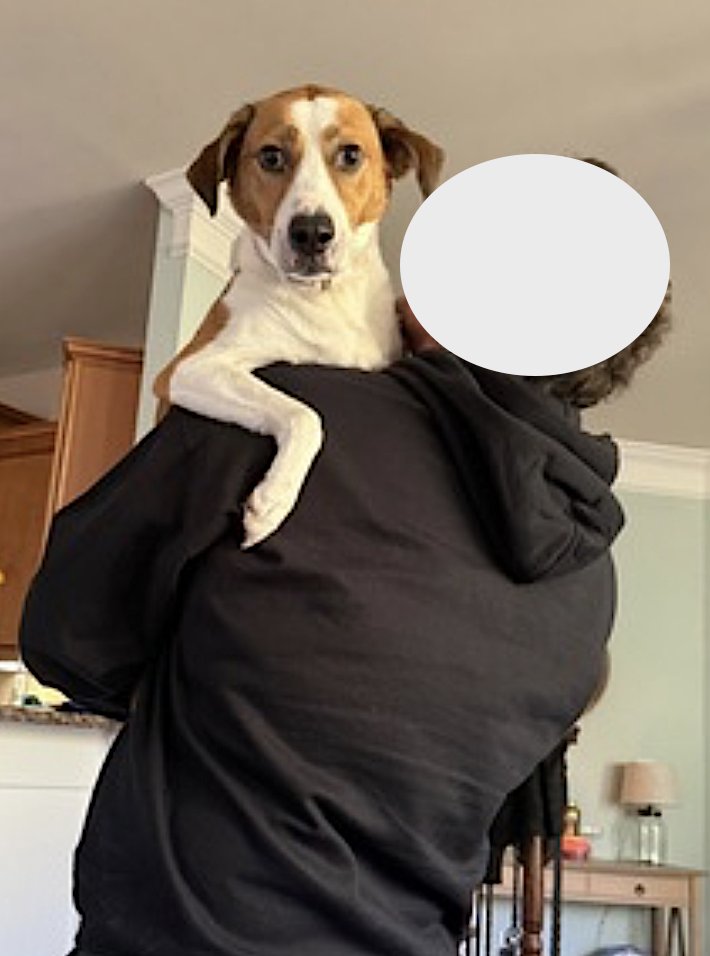 Gracie Mae - Photo 3