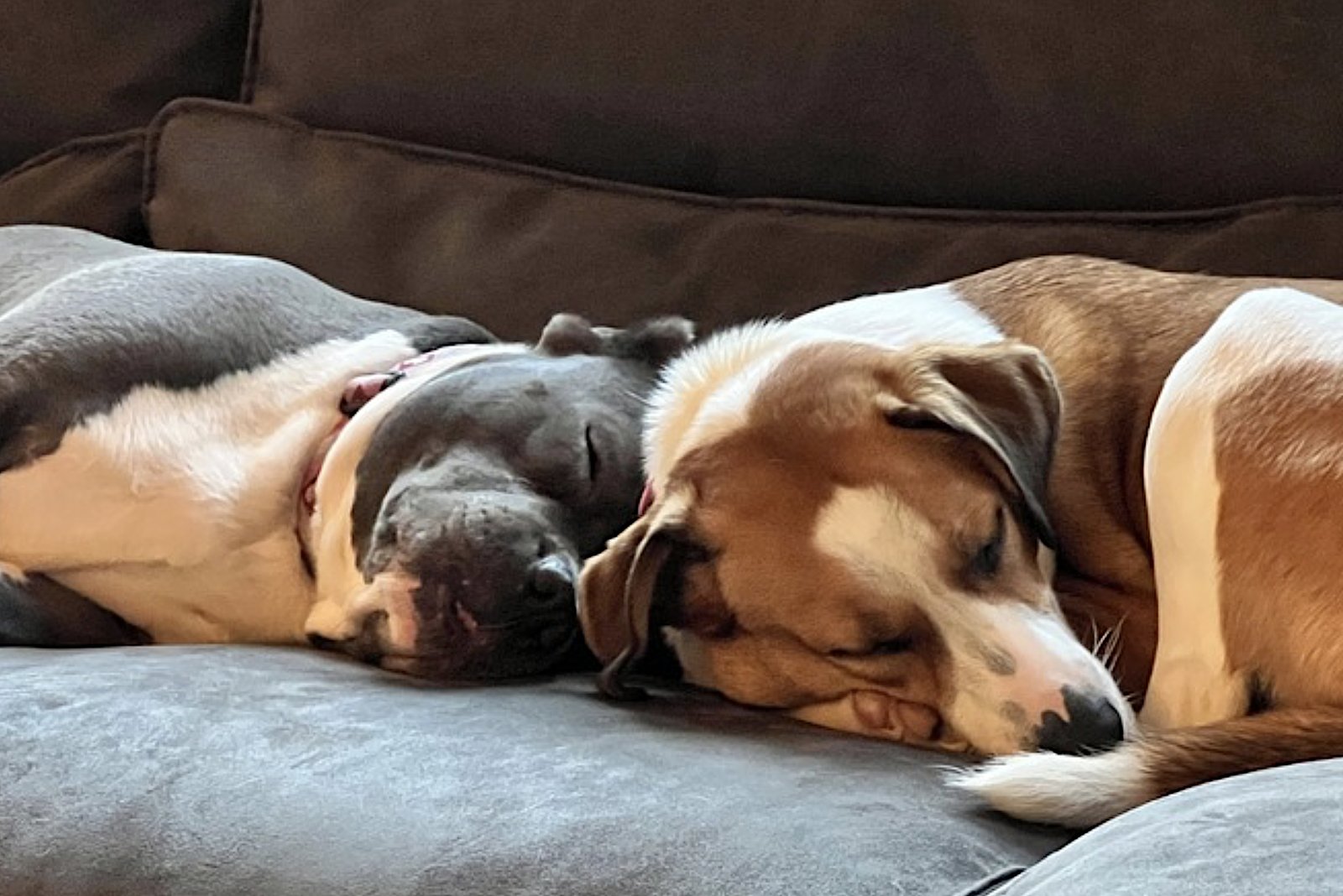 Gracie Mae - Photo 4