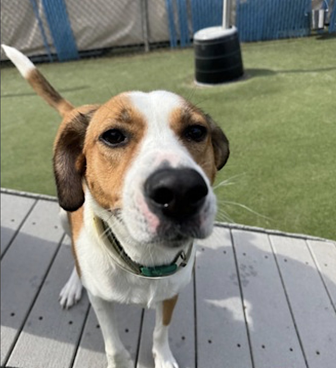 Gracie Mae - Photo 5