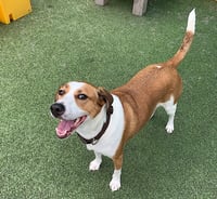Gracie Mae - Photo 9
