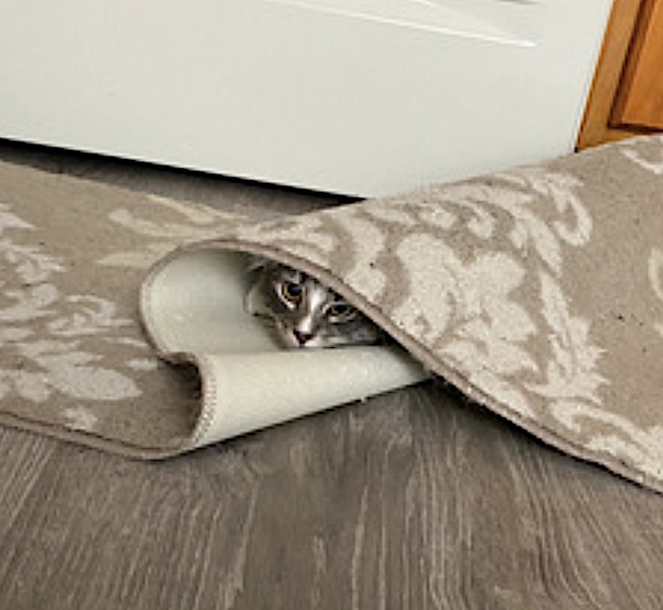 Pepper and Salt - Photo 7