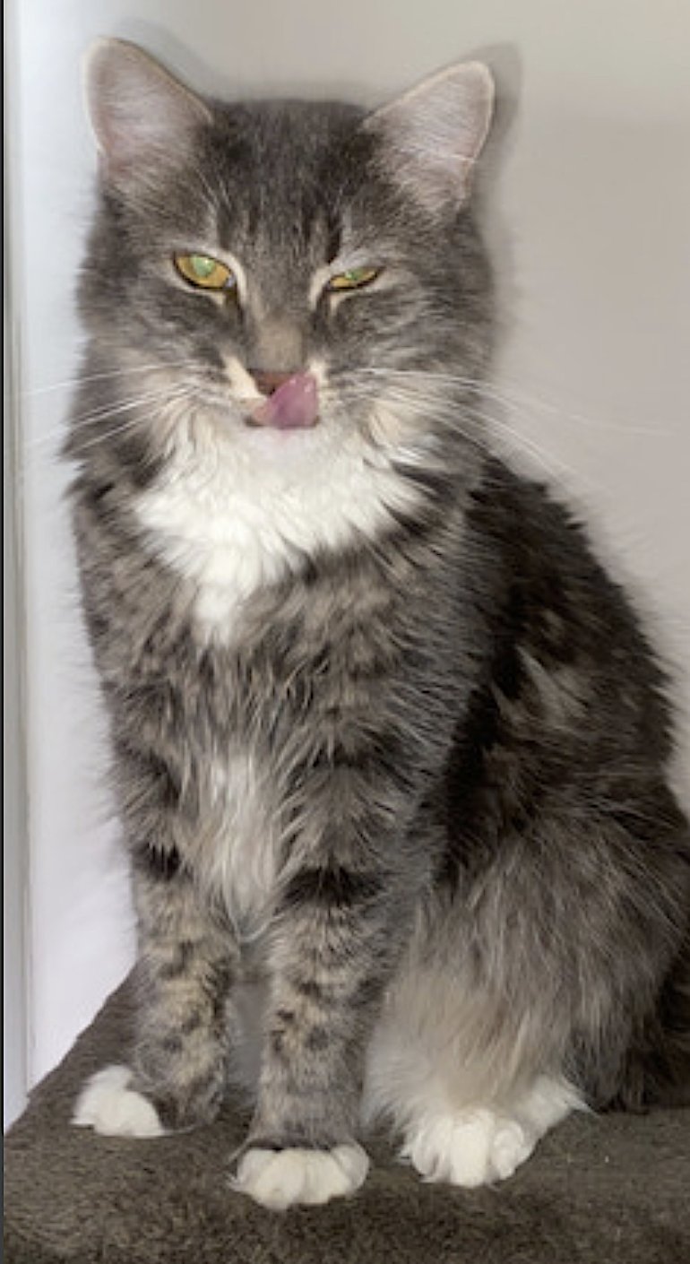 Pepper and Salt - Photo 9