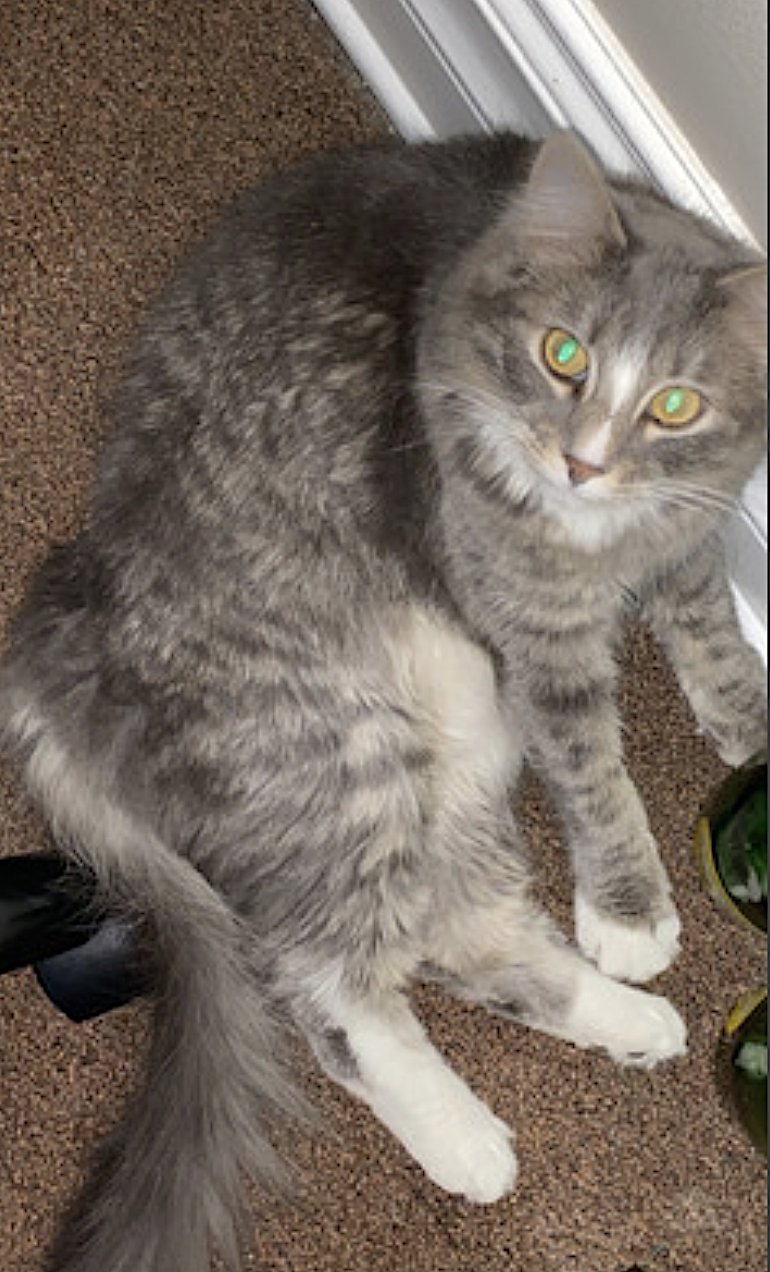 Pepper and Salt - Photo 10