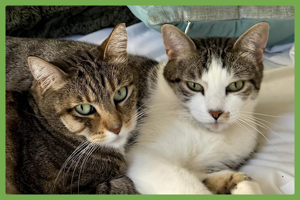 Daisy and Duke Image