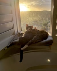 Daisy and Duke - Photo 7