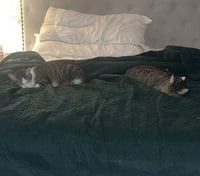 Daisy and Duke - Photo 8