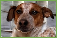 Tex - Photo 1