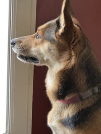 Tori - Photo 9