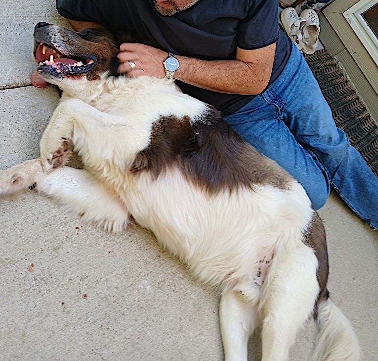 George and Piper - Photo 8