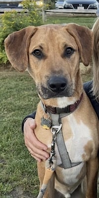 Murphy - Photo 4