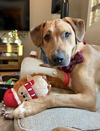 Murphy - Photo 3