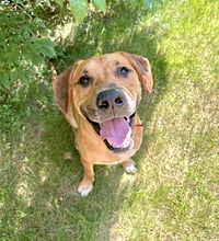 Murphy - Photo 7