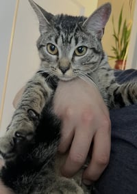 Daria - Photo 3