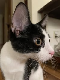 Minni - Photo 7