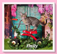 Emily - Photo 7