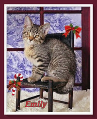 Emily - Photo 9