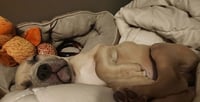 Bailey Lou - Photo 3