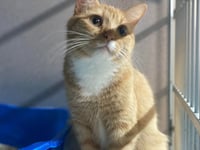Butters - Photo 6