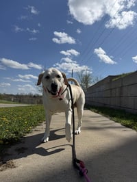 Butter - Photo 1