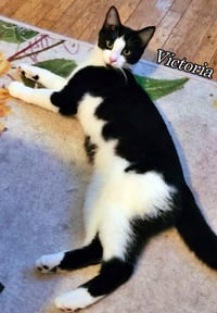 Victoria - Photo 3