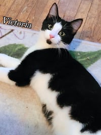 Victoria - Photo 2